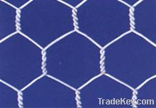 Hexagonal Wire Mesh