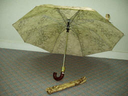 auto open two fold umbrella