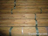 Tonkin bamboo pole