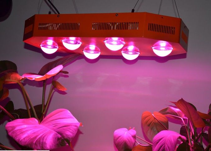 New COB 250W LED Grow Light