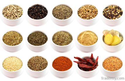 Dry &amp; Fresh Spices or Herbs OEM Large Quantity