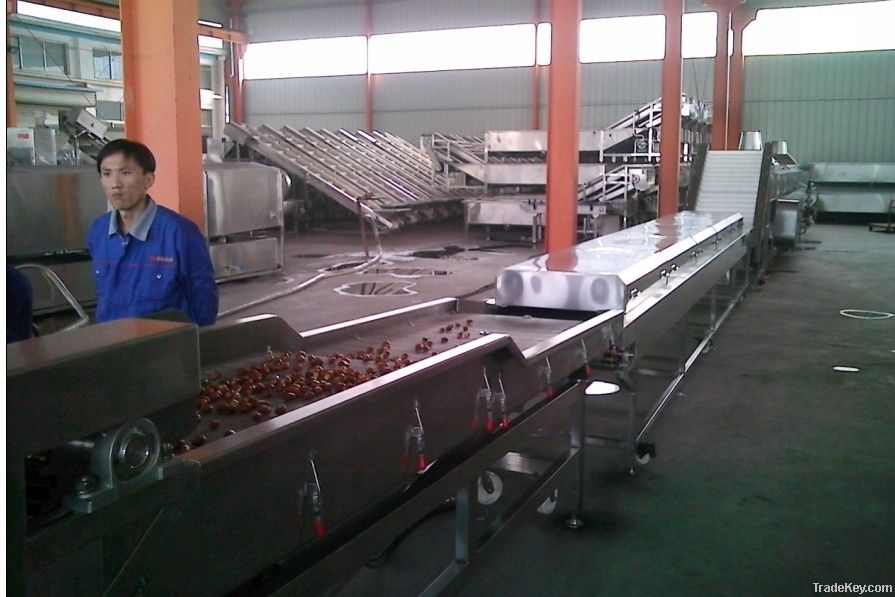 Palm dates production line