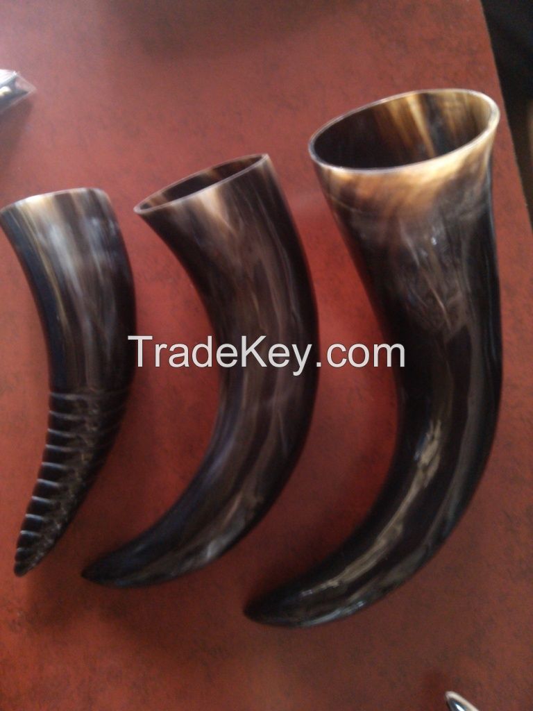 buffalo viking drinking horn