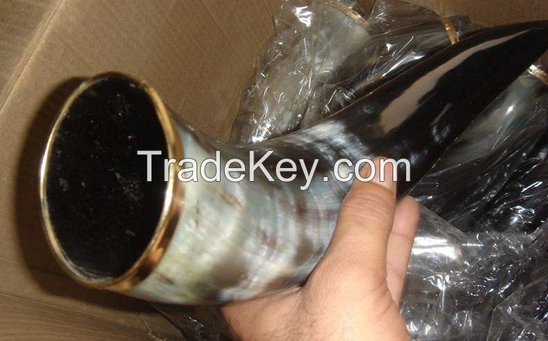 buffalo water drinking horn, 