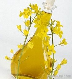 RBD Rapeseed oil