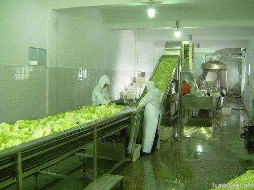 SP-II vegetable fruits processing line for dehydration