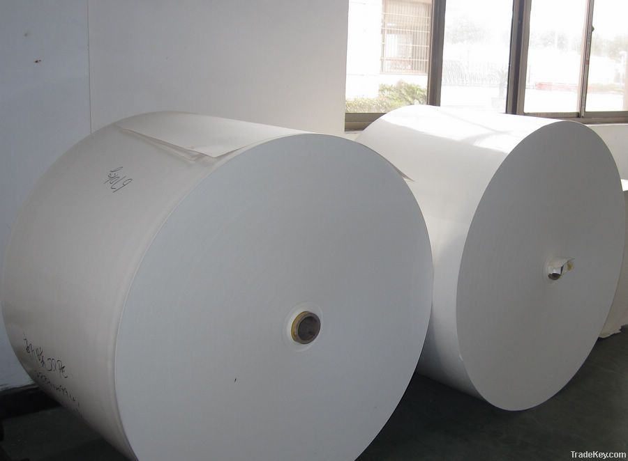 HIGH Quality Reasonable Price pe coated paper