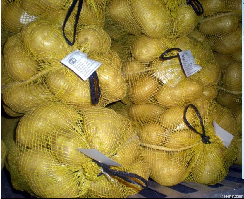 Hot sell 2012 new arrival Holland potato from china