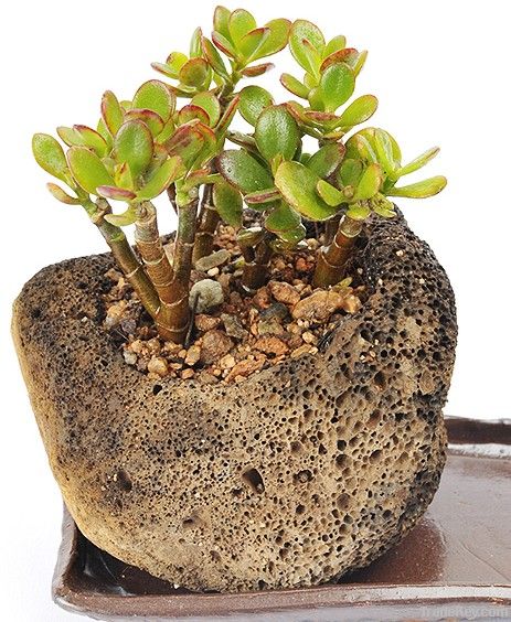 Natural Stone Home Flower Pot