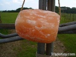 Himalayan Salt Lick