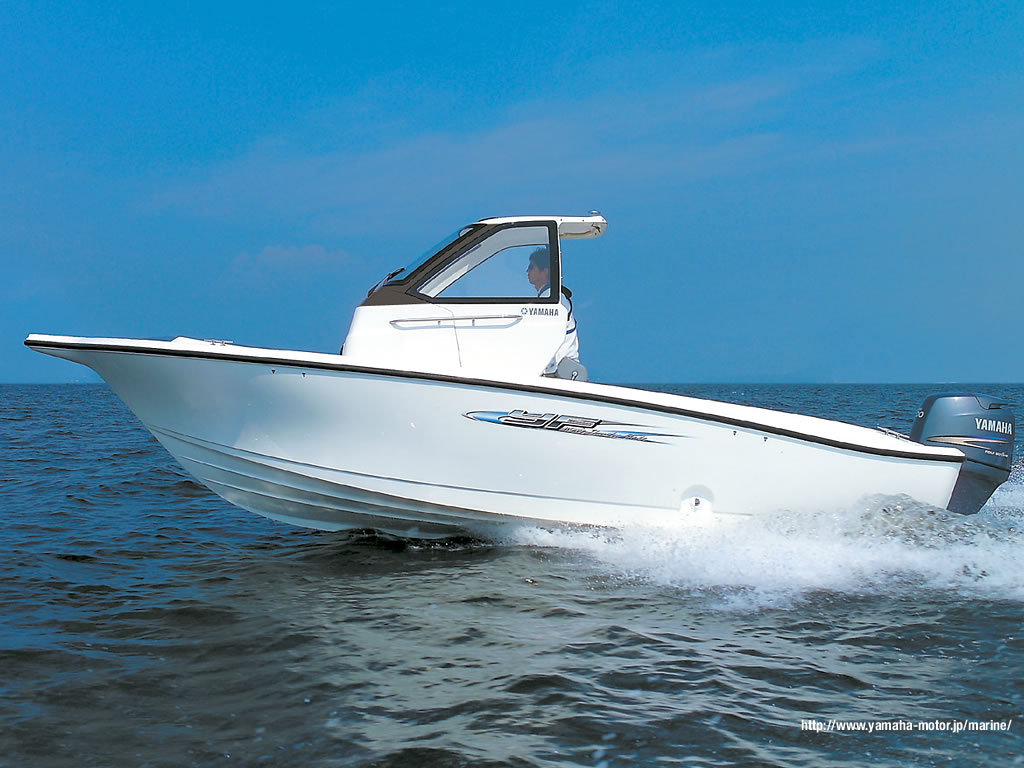 yfishing21 hardtop boat