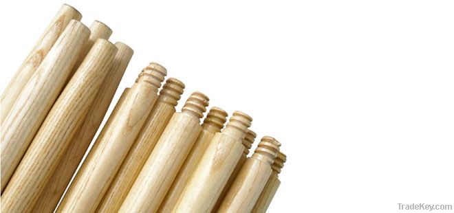 China Ash Broom&Mop Handles