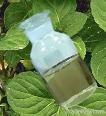 peppermint oil 50min(BP USP FCC)