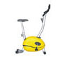 Magnetic exercise bike