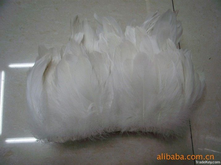 goose feather, goose nageories,