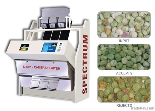 Dehydrated Peas Sorter