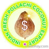 indian fresh pollachi coconut export