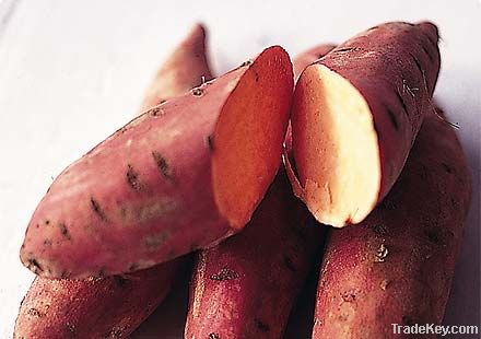 Fresh Sweet Potatoes