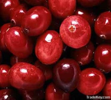 Cranberry Extract