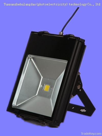 LED Flood Light