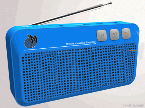 Portable multi-function mini speaker