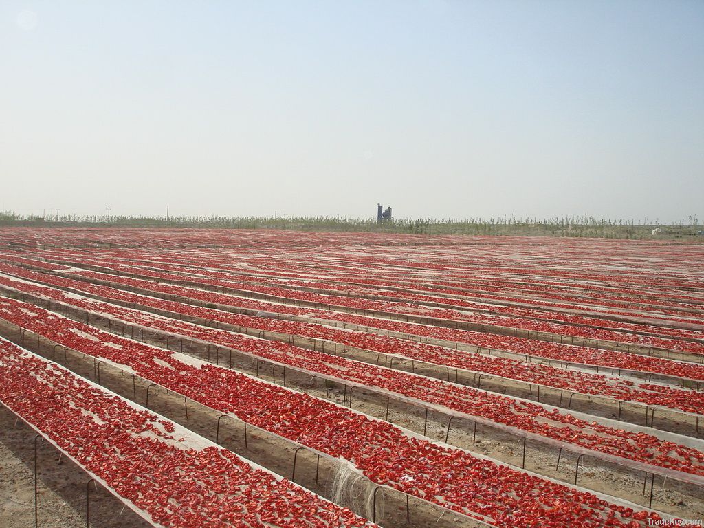 Sun Dried Tomato Halves