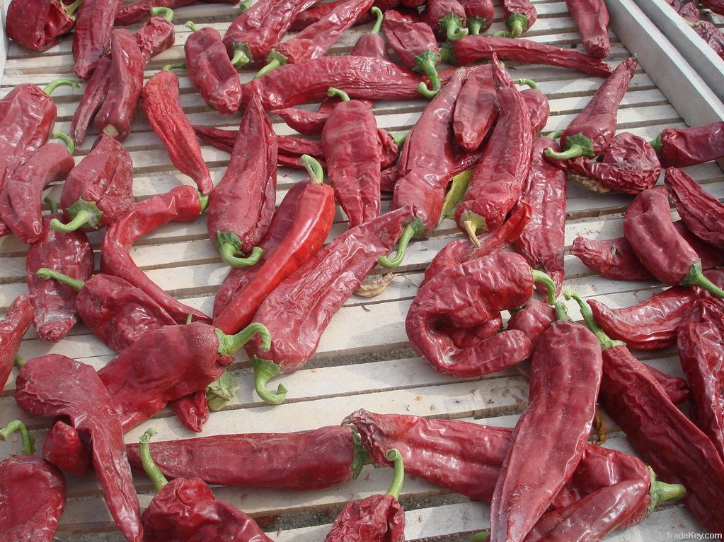 sun dried chilli