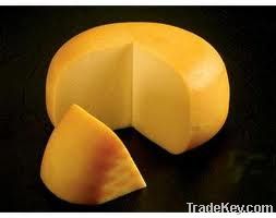 gouda cheese