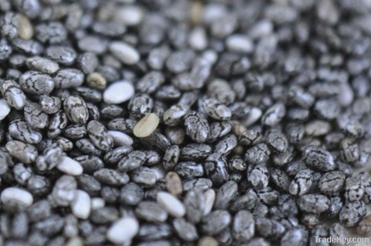 Wholesale Bulk Organic &amp; Conv. Chia Seed &amp; Organic