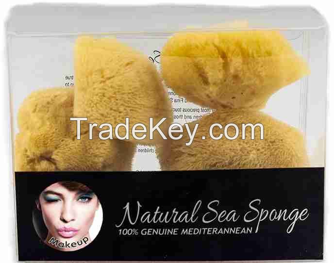 Sea sponge for face care