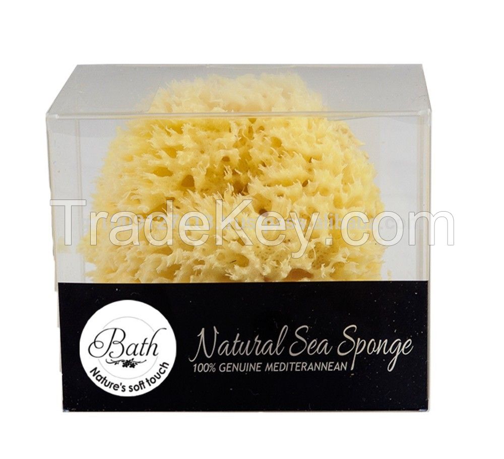 Sea sponge for bath