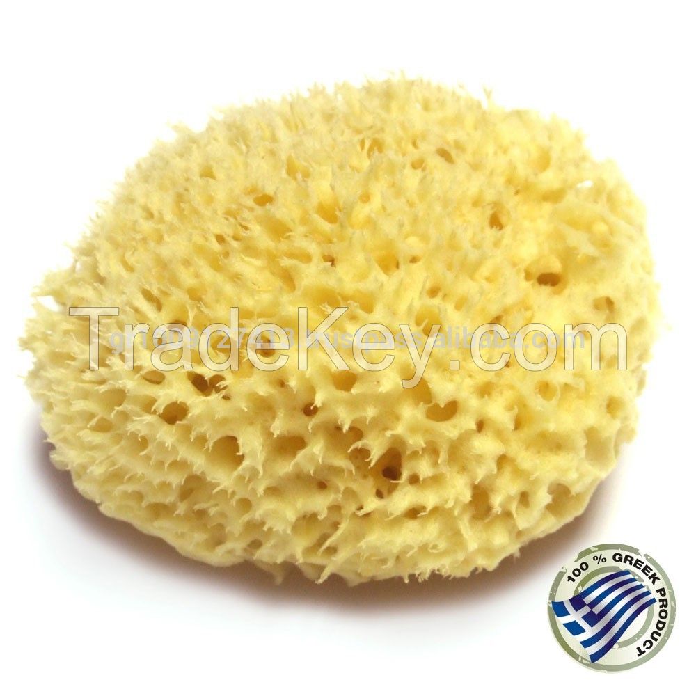 Sea sponge for bath