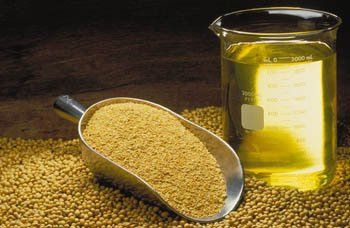 Sunflower Oil | Canola Oil | Rapeseed Oil | Soybean Oil