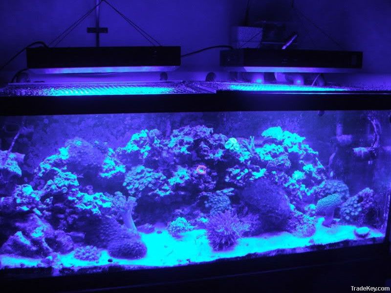 120W Dimmable LED Aquarium Light