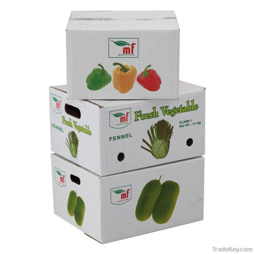 Corrugated Carton Box