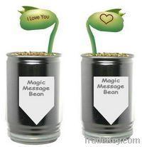 Magic Bean In A Tin