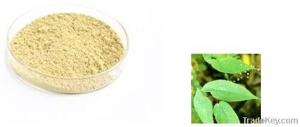 Epimedium Extract icariin