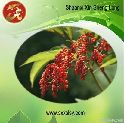 Elderberry Extract