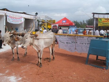 Animal Driven Power (Electricity) Generator