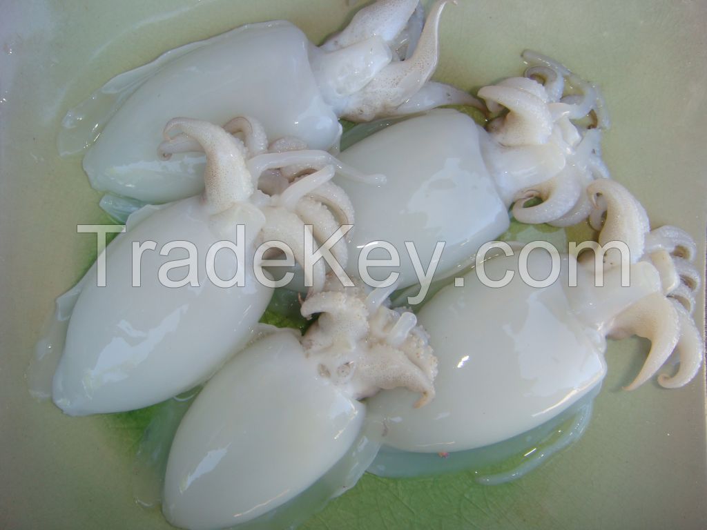 Frozen Tongue Sole, Cuttle Fish, Ribbon, Yellow Crocker, Pomfret, and Sea Shrimps.