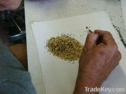 Raw gold dust and nuggets