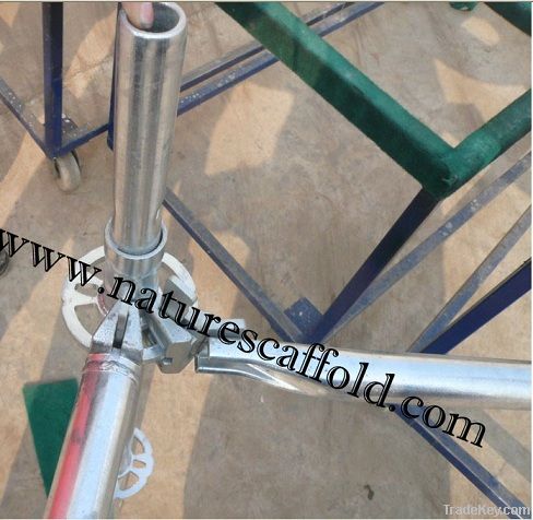 Scaffolding