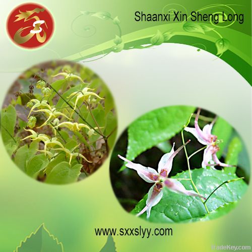 Epimedium Extract