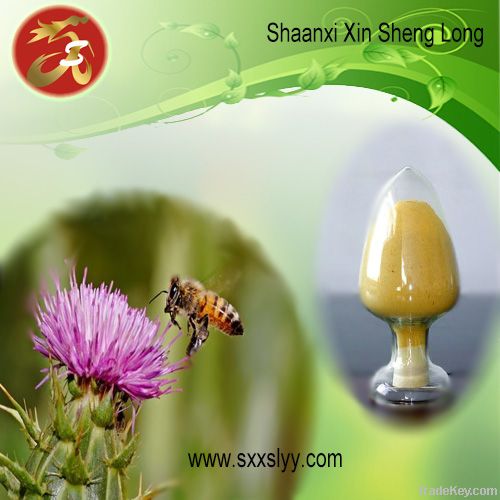 Milk Thistle Extract/plant extract/ herbal extract/