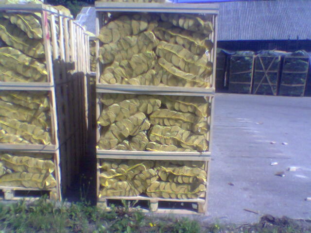 Firewood