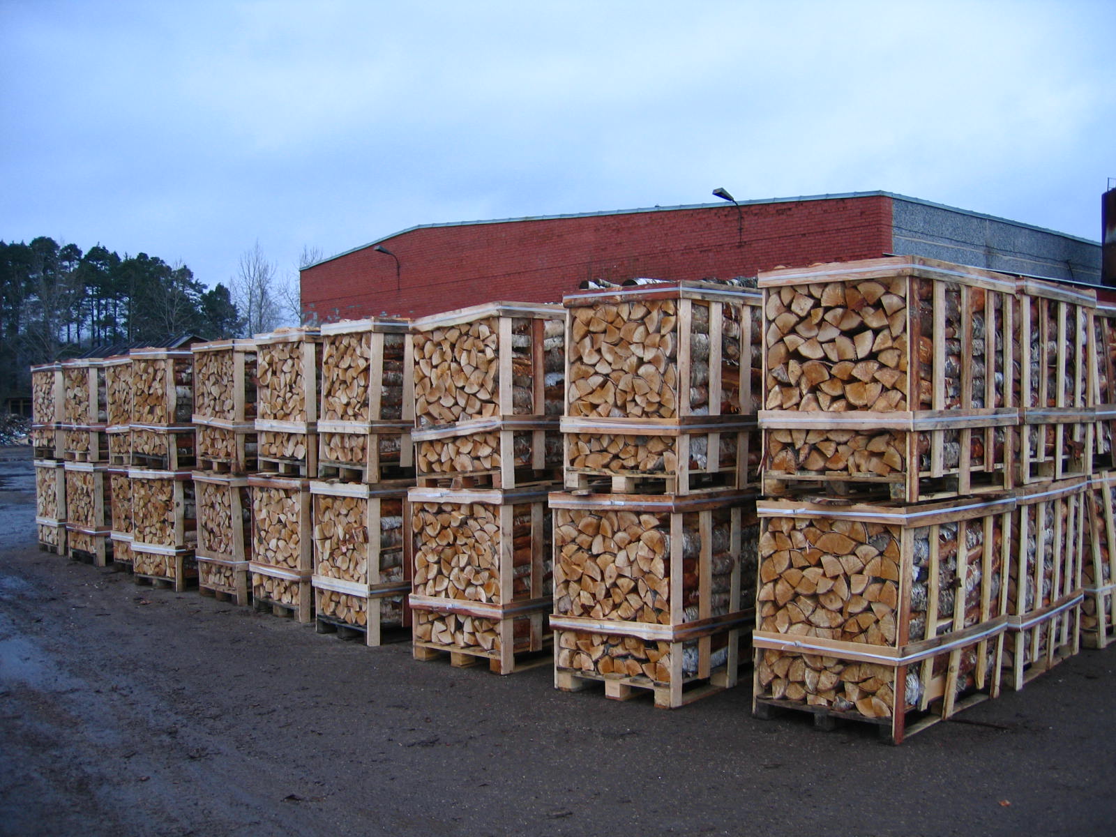 Firewood