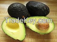 Fresh Avocados