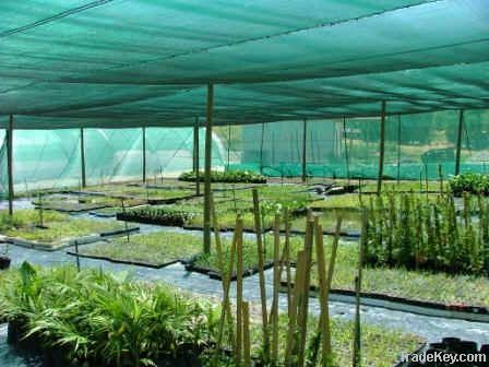 Green shade net