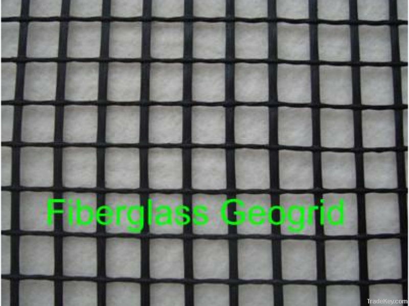 Geogrid