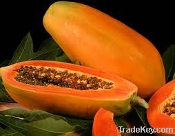 Papaya